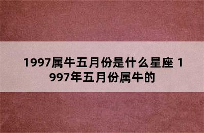 1997属牛五月份是什么星座 1997年五月份属牛的